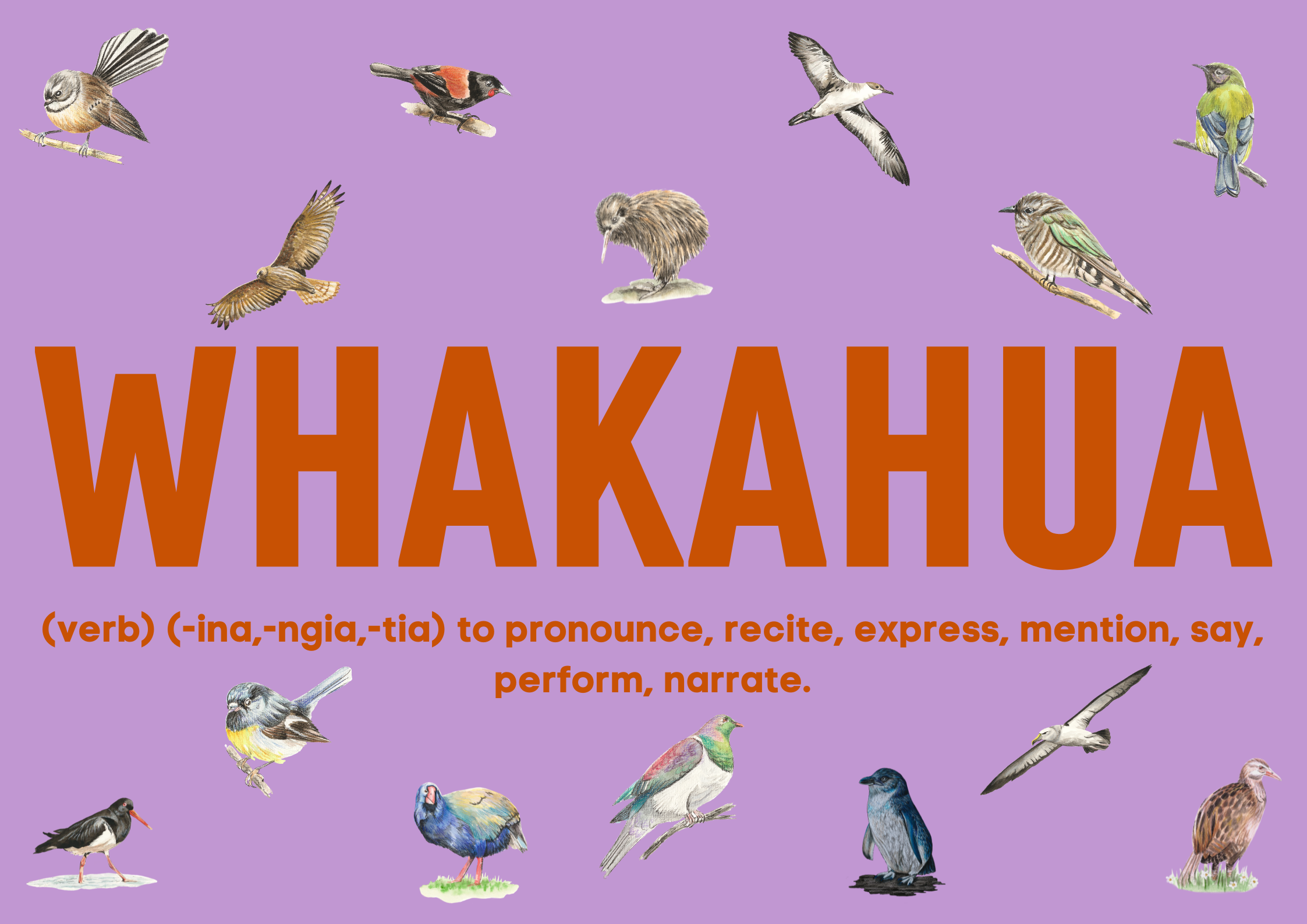 Whakahua | Pronunciation for Kāri Manu