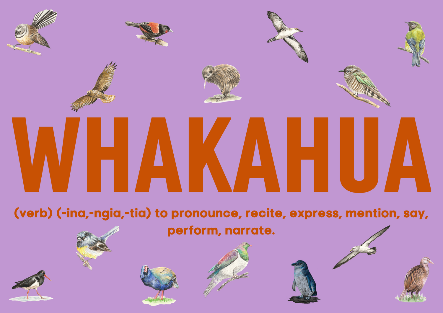 Whakahua | Pronunciation for Kāri Manu